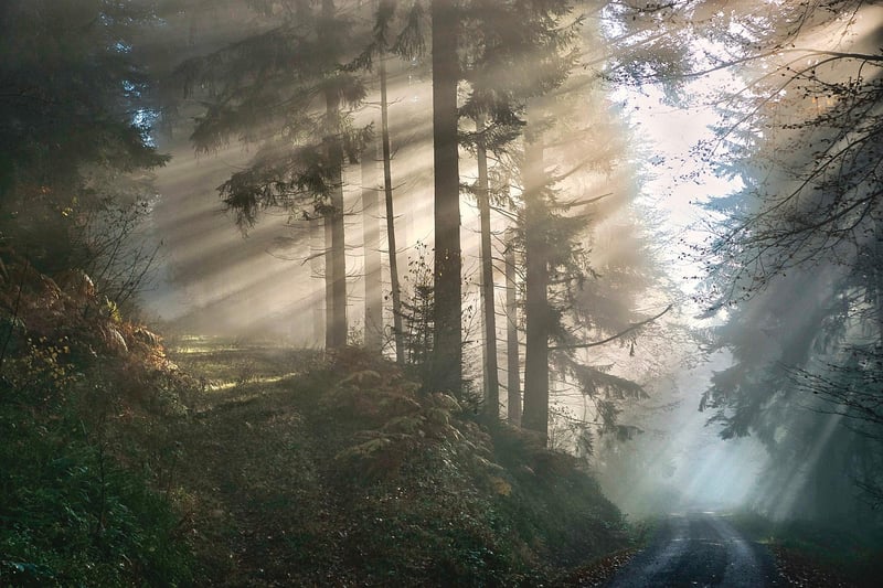 Mystical Adventure